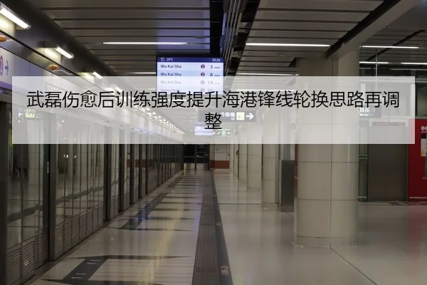 武磊伤愈后训练强度提升海港锋线轮换思路再调整