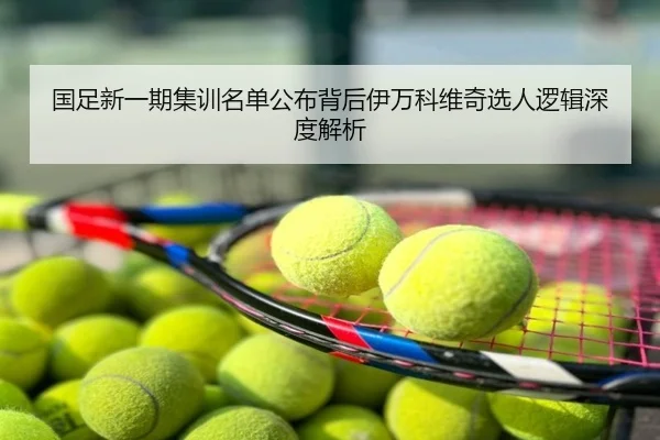 国足新一期集训名单公布背后伊万科维奇选人逻辑深度解析